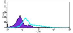 Flow Cytometry: RP105 Antibody [NBP2-20204] - Flow cytometry on Jurkat cells, staining with RP105 antibody at 1:100 dilution (blue) or rabbit IgG (black).