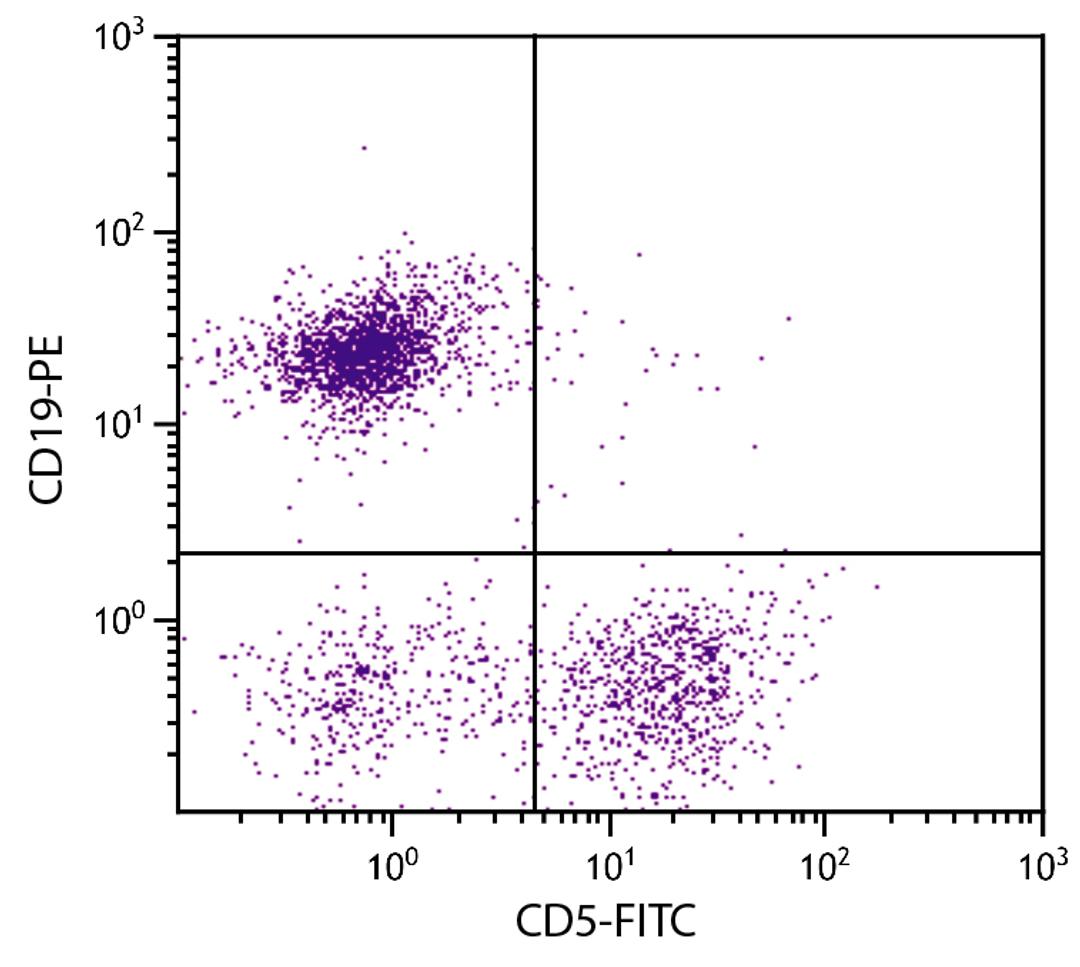 BALB/c mouse splenocytes were stained with Rat Anti-Mouse CD5-FITC (Cat. No. 98-603) and Rat Anti-Mouse CD19-PE .