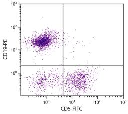 BALB/c mouse splenocytes were stained with Rat Anti-Mouse CD5-FITC (Cat. No. 98-603) and Rat Anti-Mouse CD19-PE .