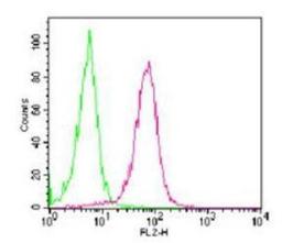 Flow (Cell Surface): RANK/TNFRSF11A Antibody (9A725) [NB100-56508] - Analysis using the PE conjugate of NB100-56508. Staining of RANK in RAW cells using 0.5 ug of RANK antibody. Green histogram represents isotype control antibody (NB100-56029); red represents RANK antibody.