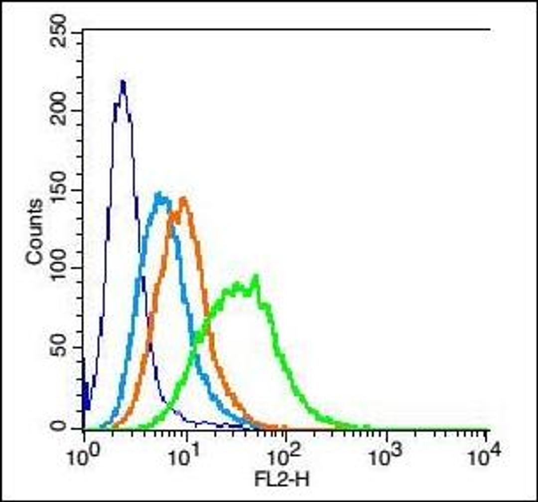 Flow cytometric analysis of U-2OS cell using Fragilis antibody.