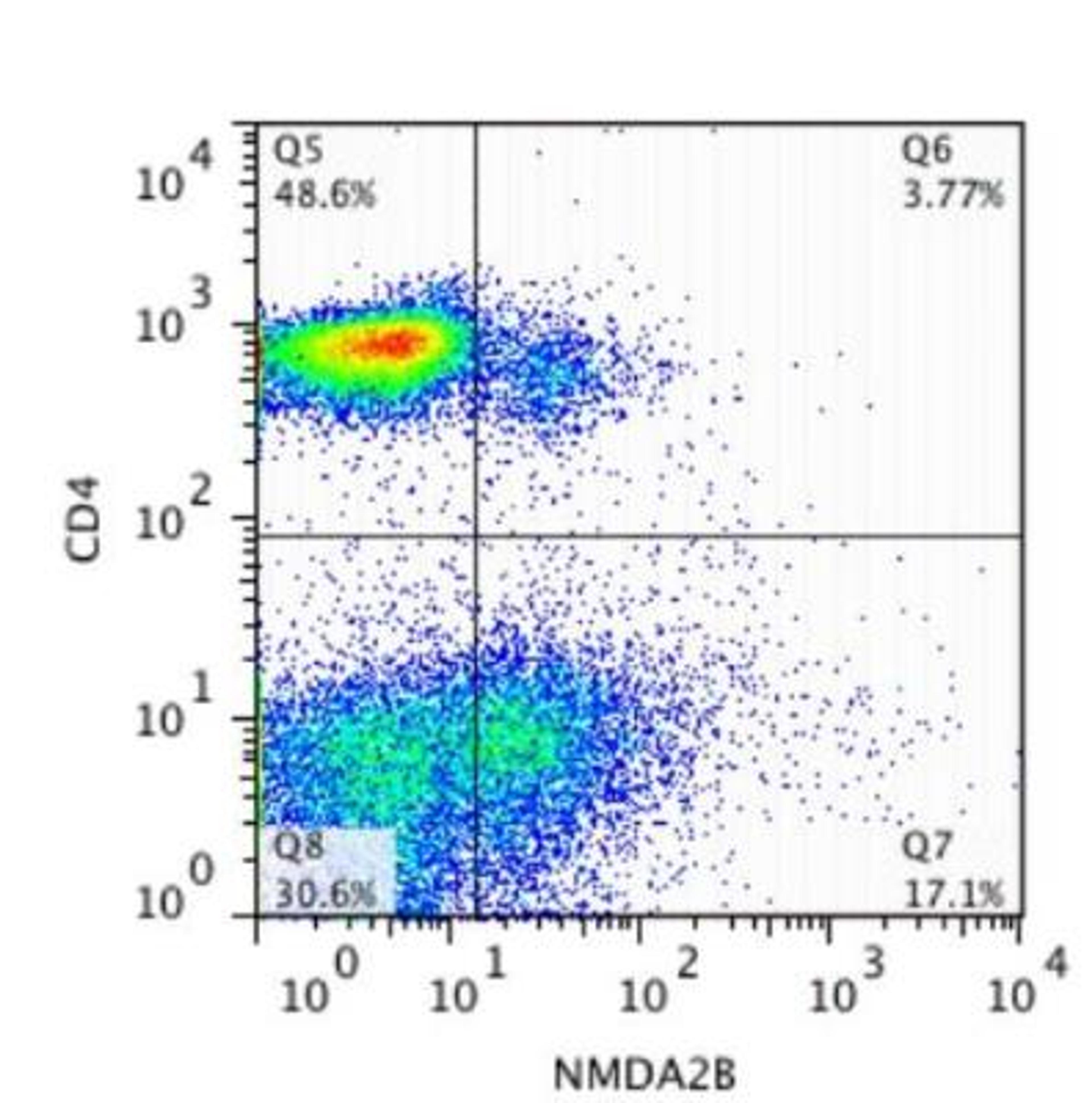 Flow Cytometry: NMDAR2B Antibody [NB300-106] - NMDA2B receptor expression on CD4+ T cells. Image supplied by review from confirmed customer.