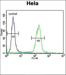 Flow cytometric analysis of Hela cells lysates using B2M antibody