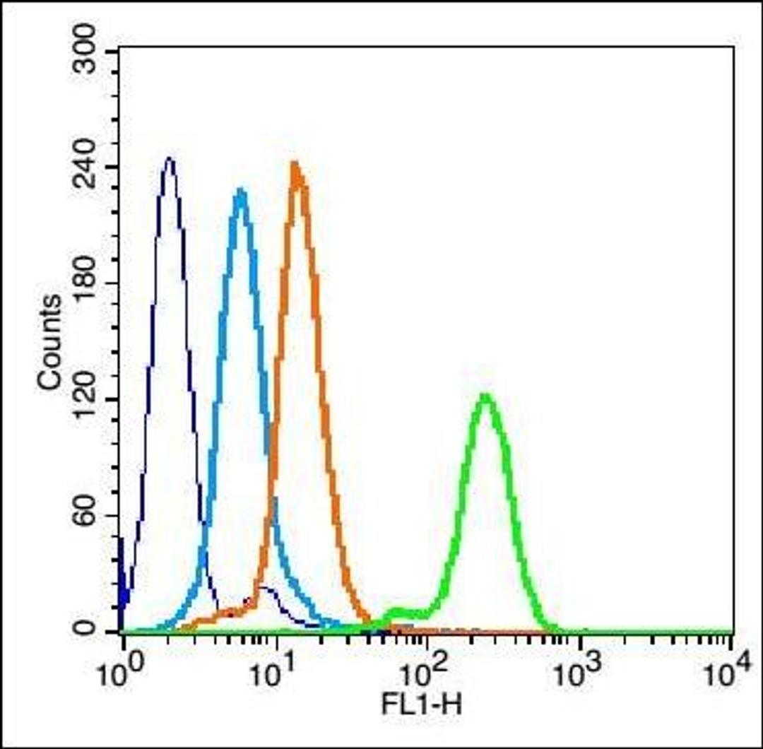 Flow cytometric analysis of HL60 cell using caspase-3 p17 subunit antibody.