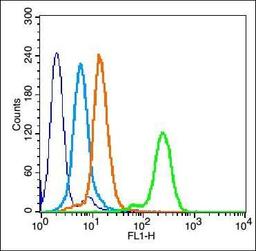 Flow cytometric analysis of HL60 cell using caspase-3 p17 subunit antibody.