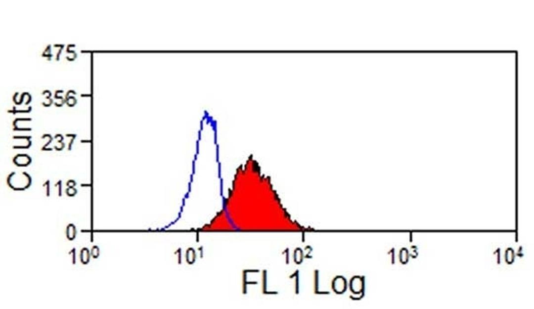 Pig peripheral blood granulocytes stained with Mouse anti Pig CD107a