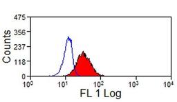 Pig peripheral blood granulocytes stained with Mouse anti Pig CD107a