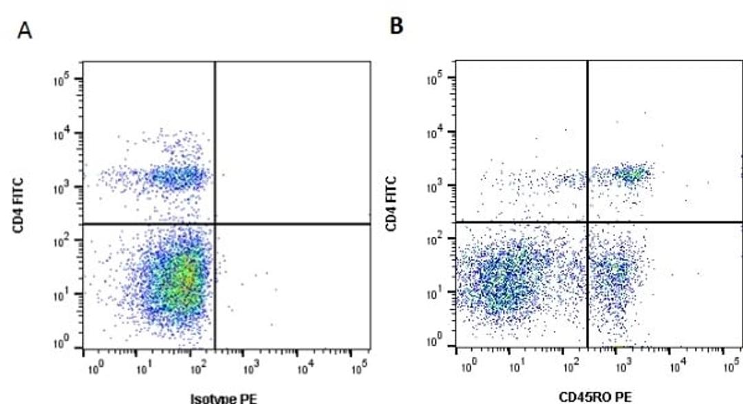 Figure A. Mouse anti Bovine CD4. Figure B. Mouse anti Bovine CD4 and Mouse anti Bovine CD45RO. 