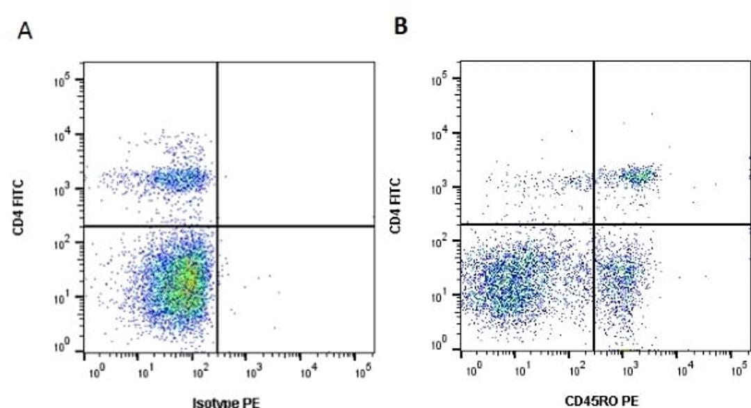 Figure A. Mouse anti Bovine CD4. Figure B. Mouse anti Bovine CD4 and Mouse anti Bovine CD45RO.