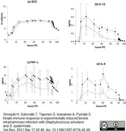 Biotinylated Rabbit anti Bovine interleukin 1β antibody used for the detection of IL-1β
