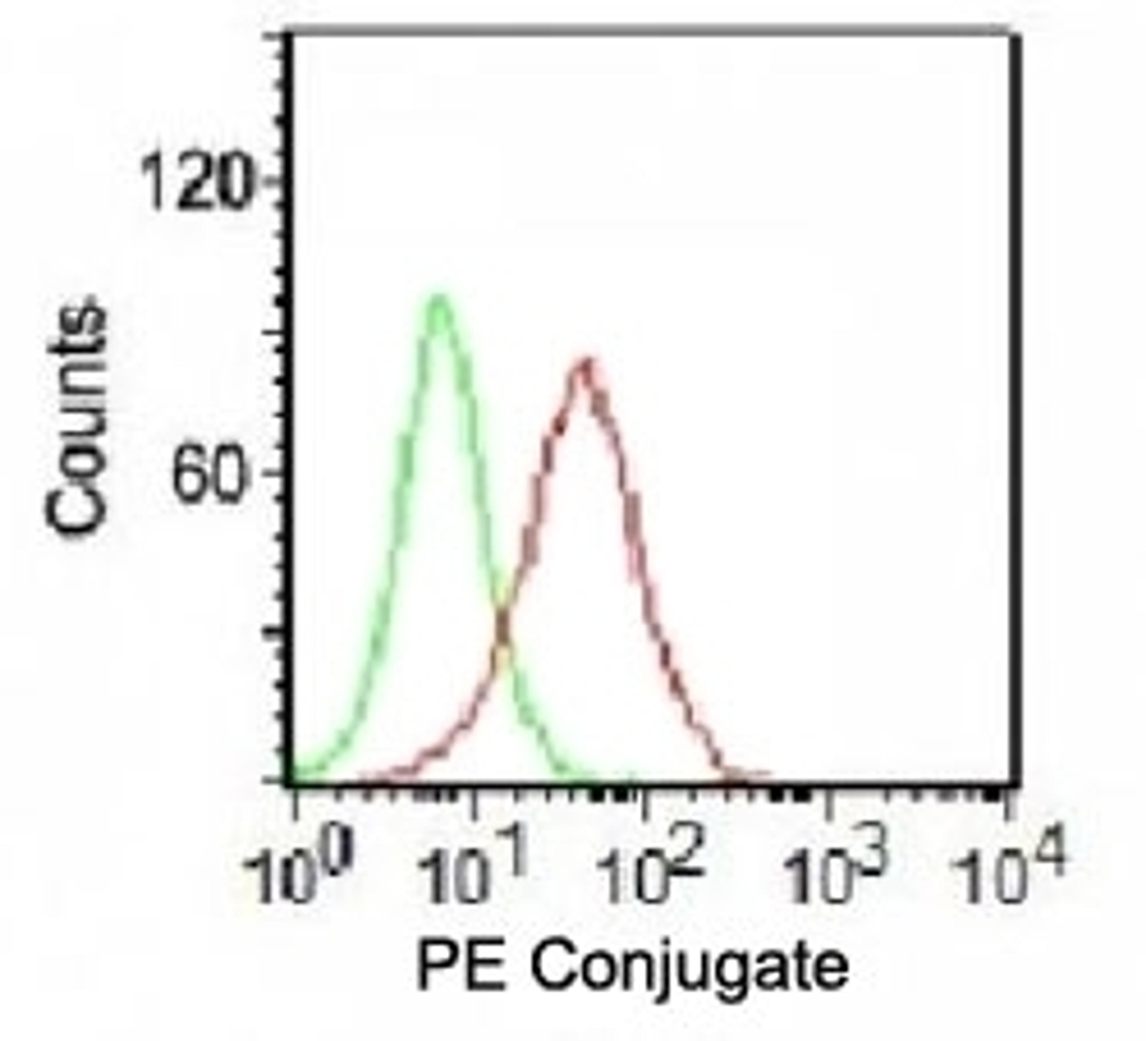 ntracellular FACS testing of K562 cells with PE conjugated Ku70 + Ku80 antibody(red) and isotype control (green).