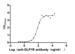 The Binding Activity of GLP1R with anti-GLP1R antibody. Activity: Measured by its binding ability in a functional ELISA. Immobilized Human GLP1R(CSB-MP009514HUb1) at 2 μg/mL can bind Anti-GLP1R recombinant antibody, the EC<sub>50</sub> is 54.54-94.23 ng/mL.