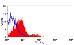 Porcine Lymphocytes stained with Mouse anti Porcine CD117: Alexa Fluor® 488 (MCA2598A488)