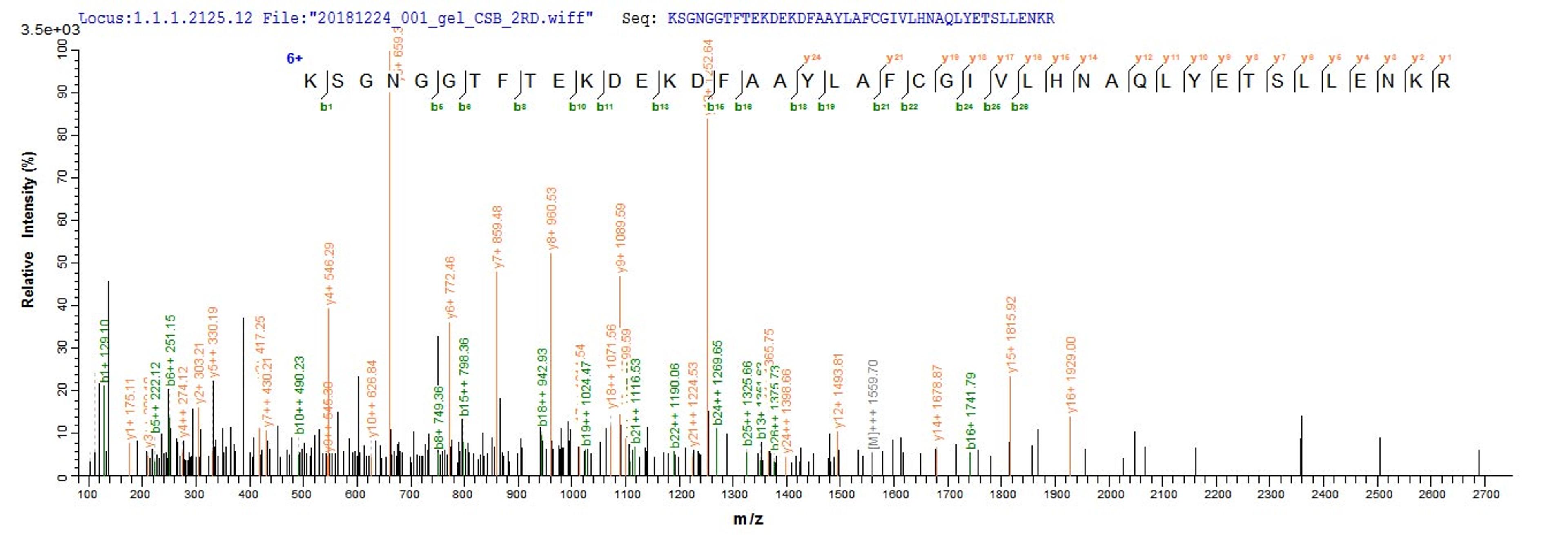 Based on the SEQUEST from database of E.coli host and target protein, the LC-MS/MS Analysis result of CSB-EP807017MO could indicate that this peptide derived from E.coli-expressed Mus musculus (Mouse) Pde5a.