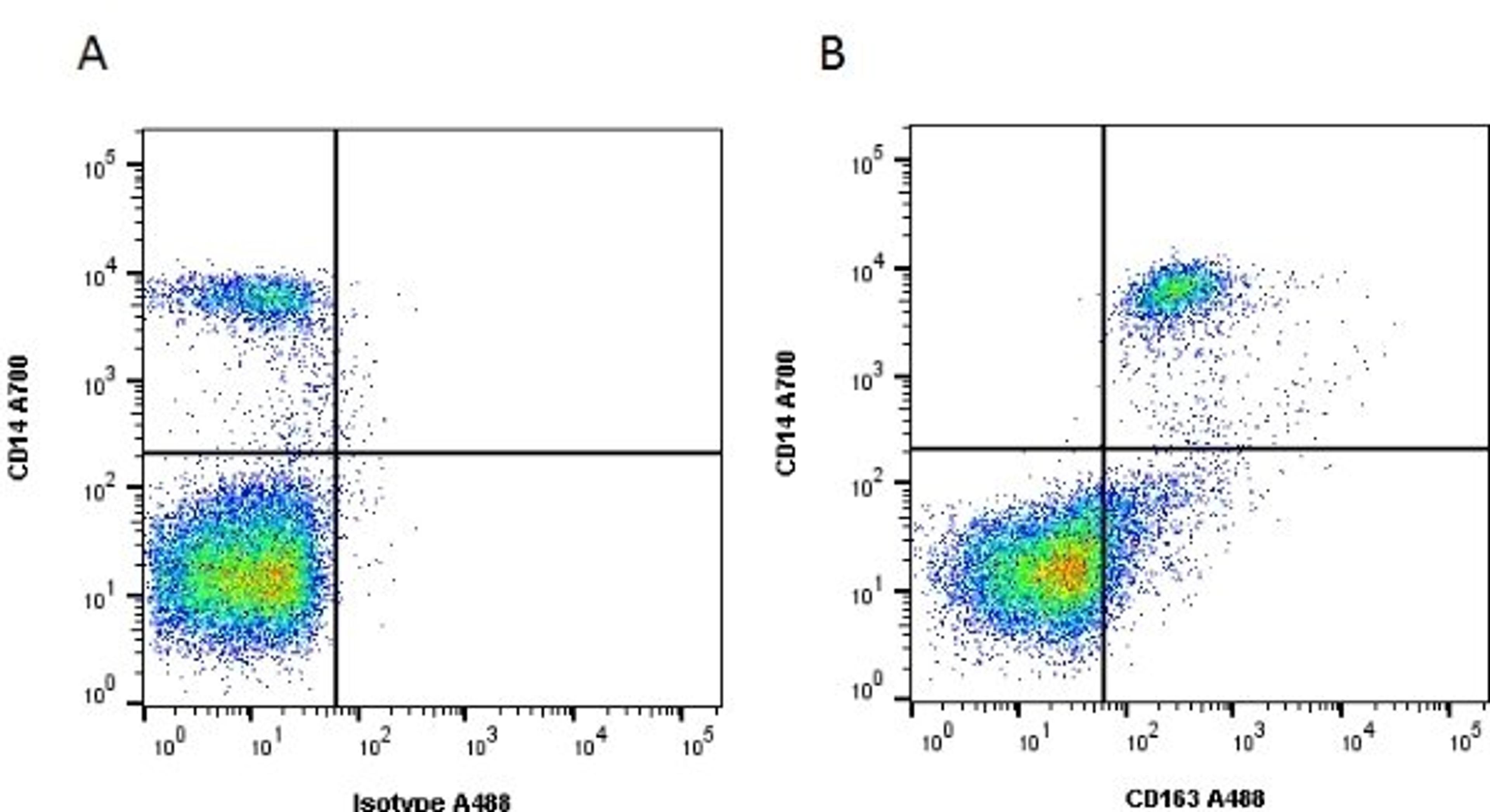 Figure A. mouse anti human CD14. Figure B. mouse anti human CD14 and mouse anti human CD163. 