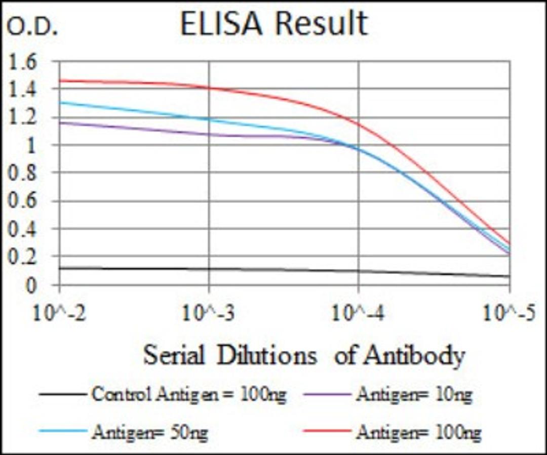 ELISA: iNOS Antibody (4E5) [NBP2-22119] - Red: Control Antigen (100ng); Purple: Antigen (10ng); Green: Antigen (50ng); Blue: Antigen (100ng).