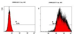 Flow Cytometry: TRA-1-60 (R) Antibody (TRA-1-60(R)) [NB100-730] - Staining of NTERA-2 cells using NB100-730at a 1:50 dilution detected using Dylight-488 conjugated goat anti-mouse IgM secondary antibody.