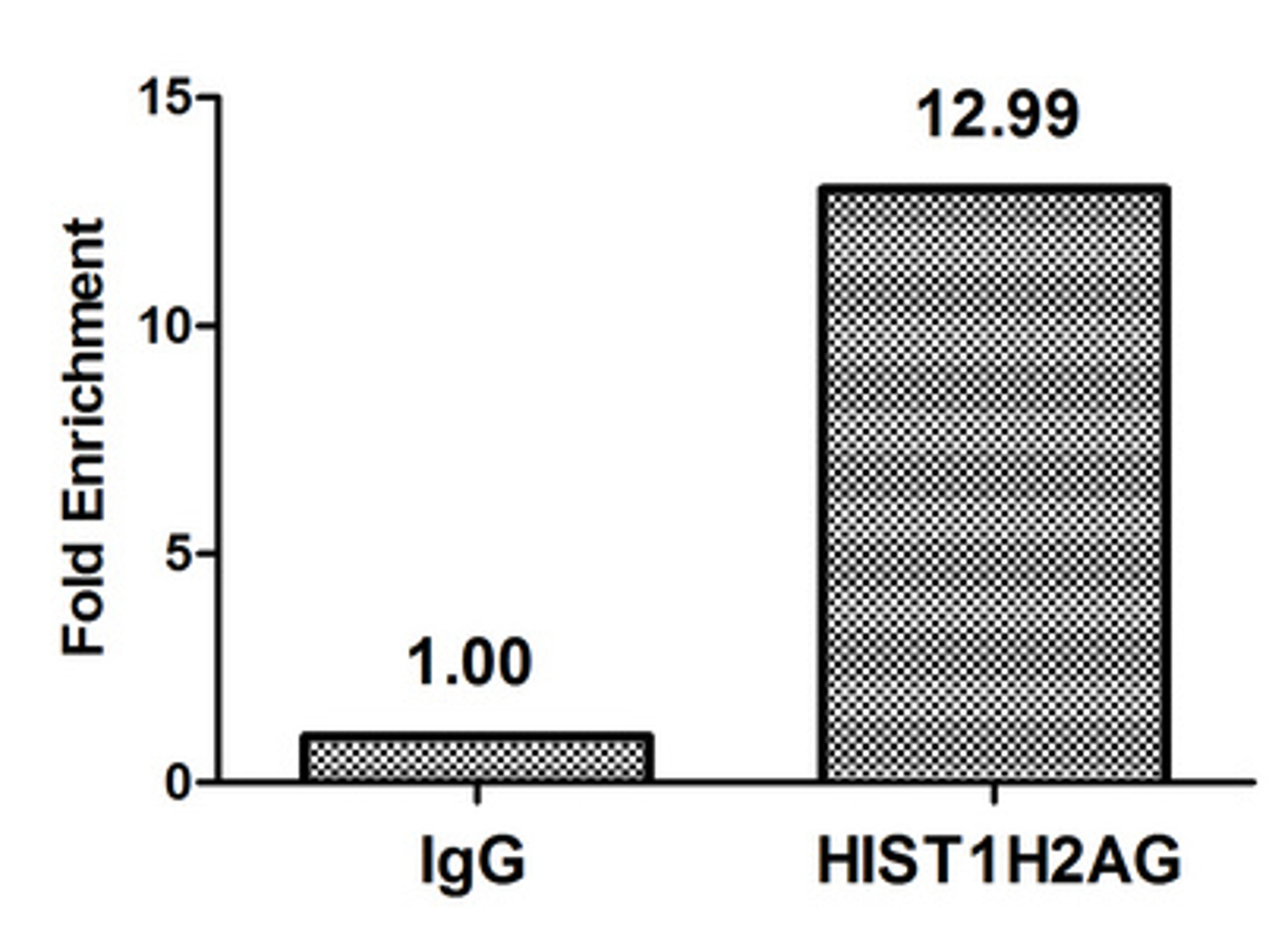 Chromatin Immunoprecipitation Hela (4*10<sup>6</sup>) were treated with Micrococcal Nuclease, sonicated, and immunoprecipitated with 5µg anti-HIST1H2AG (CSB-PA010389OA09nme1HU) or a control normal rabbit IgG. The resulting ChIP DNA was quantified using real-time PCR with primers against the β-Globin promoter.