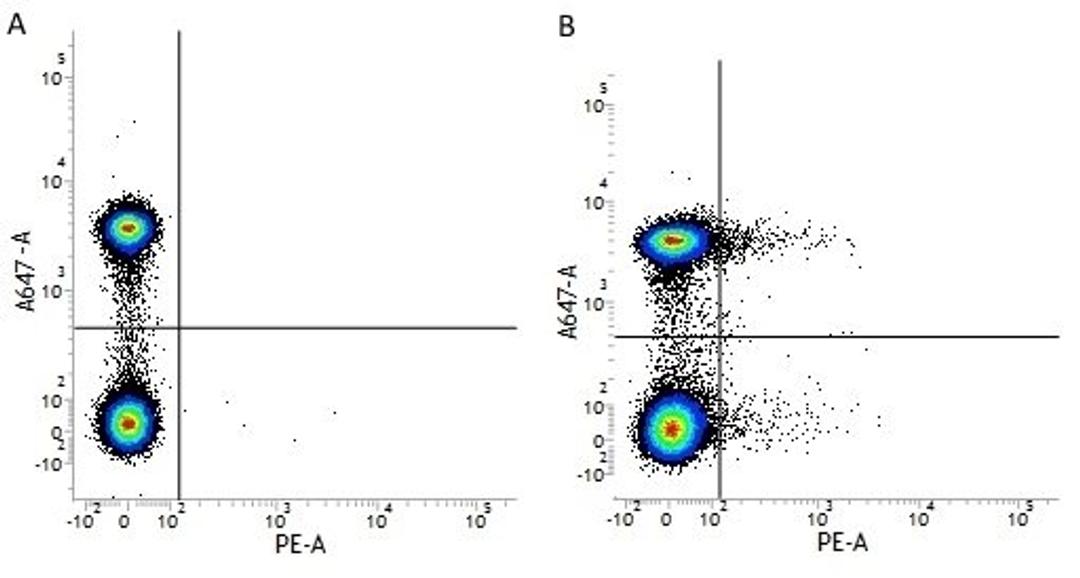 Figure A. mouse anti human CD4. Figure B. mouse anti human CD4 andmouse anti human CD25. 