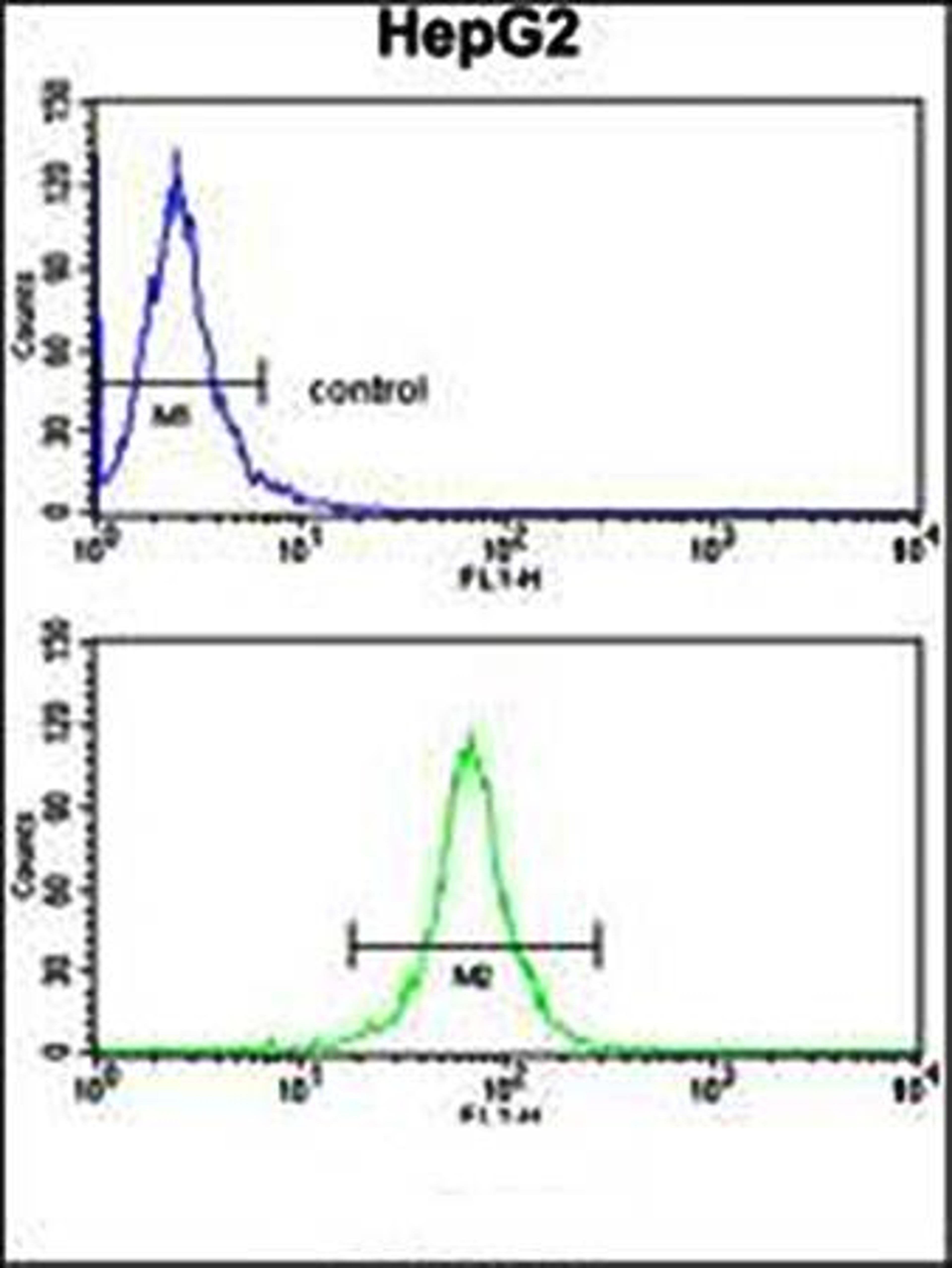 Flow cytometric analysis of DCN antibody in HepG2 cell line lysates