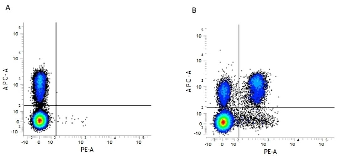 Figure A. rat anti mouse CD3. Figure B. rat anti mouse CD3 and rat anti mouse CD4. 