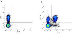 Figure A. rat anti mouse CD3. Figure B. rat anti mouse CD3 and rat anti mouse CD4. 