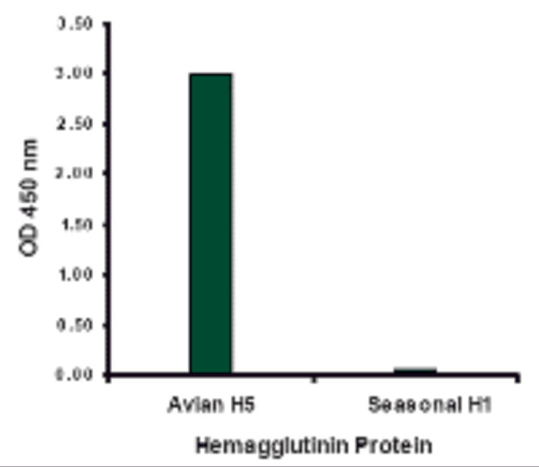 Hemagglutinin antibody at 2 μg/mL specifically recognizes Avian H5N1 influenza virus but not seasonal influenza virus A H1N1 Hemagglutinin protein.