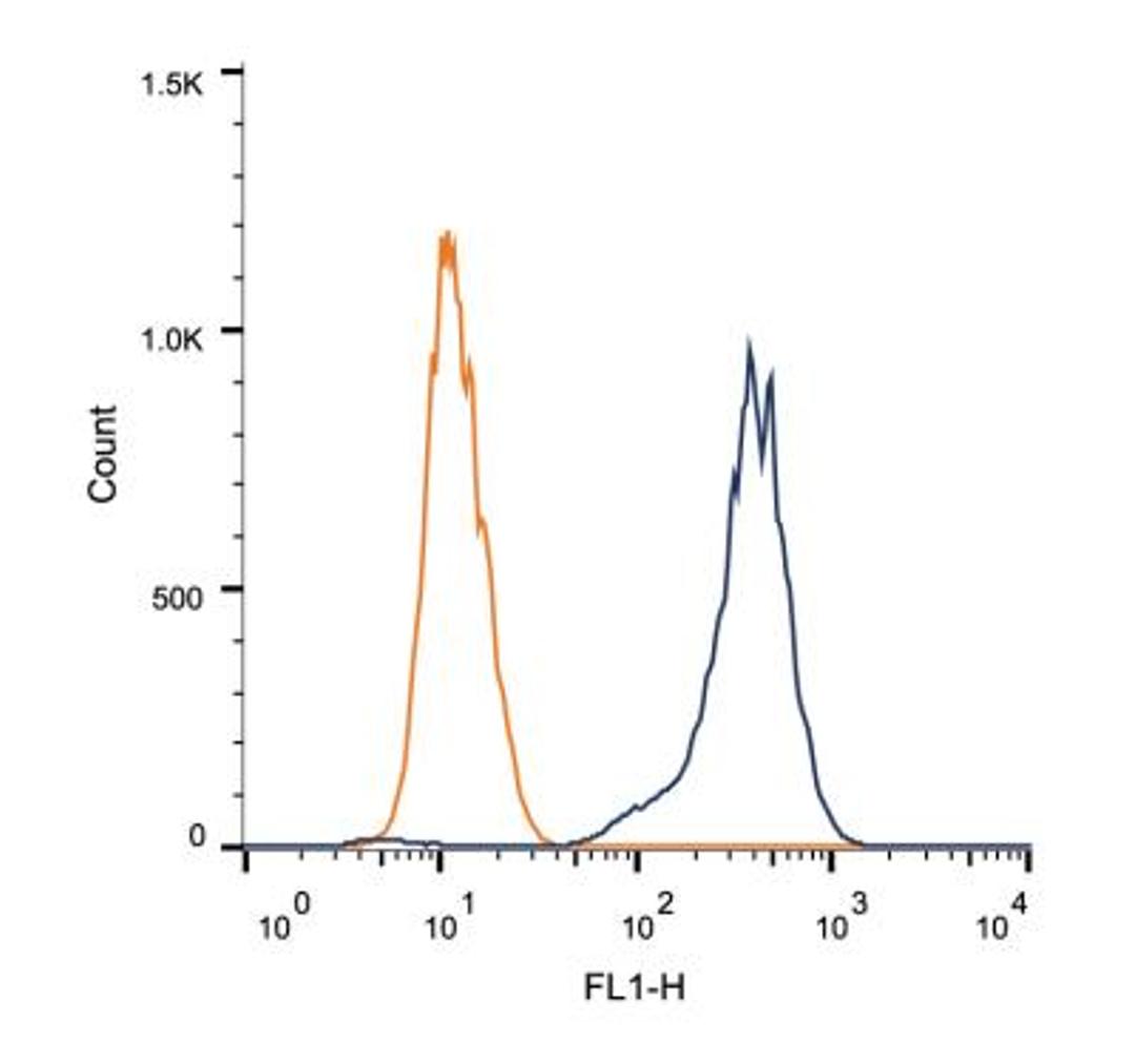 Flow Cytometry: ATF6 Antibody (70B1413.1) [NBP1-40256] - Intracellular flow cytometric staining of 1 x 10^6 MCF-7 cells using ATF6 antibody (dark blue). Isotype control shown in orange. An antibody concentration of 1 ug/1x10^6 cells was used.