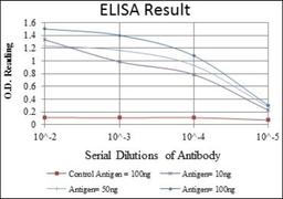 ELISA: eIF4E Antibody (5D11) [NBP2-22177] - Red: Control Antigen (100ng); Purple: Antigen (10ng); Green: Antigen (50ng); Blue: Antigen (100ng)