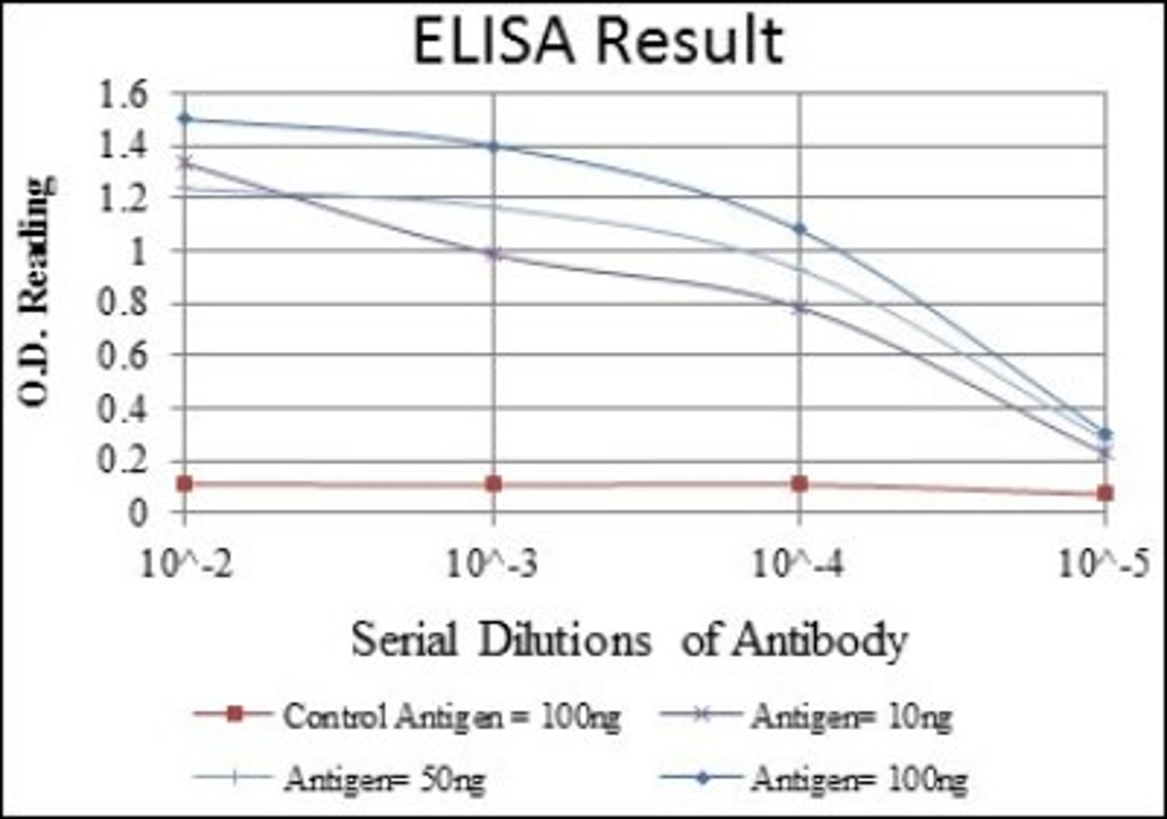 ELISA: eIF4E Antibody (5D11) [NBP2-22177] - Red: Control Antigen (100ng); Purple: Antigen (10ng); Green: Antigen (50ng); Blue: Antigen (100ng)