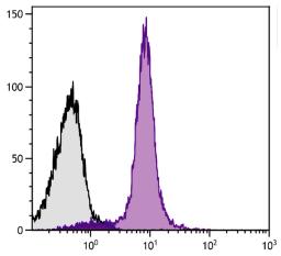 Human peripheral blood was stained with Mouse Anti-Human CD95-APC (Cat. No. 99-580).