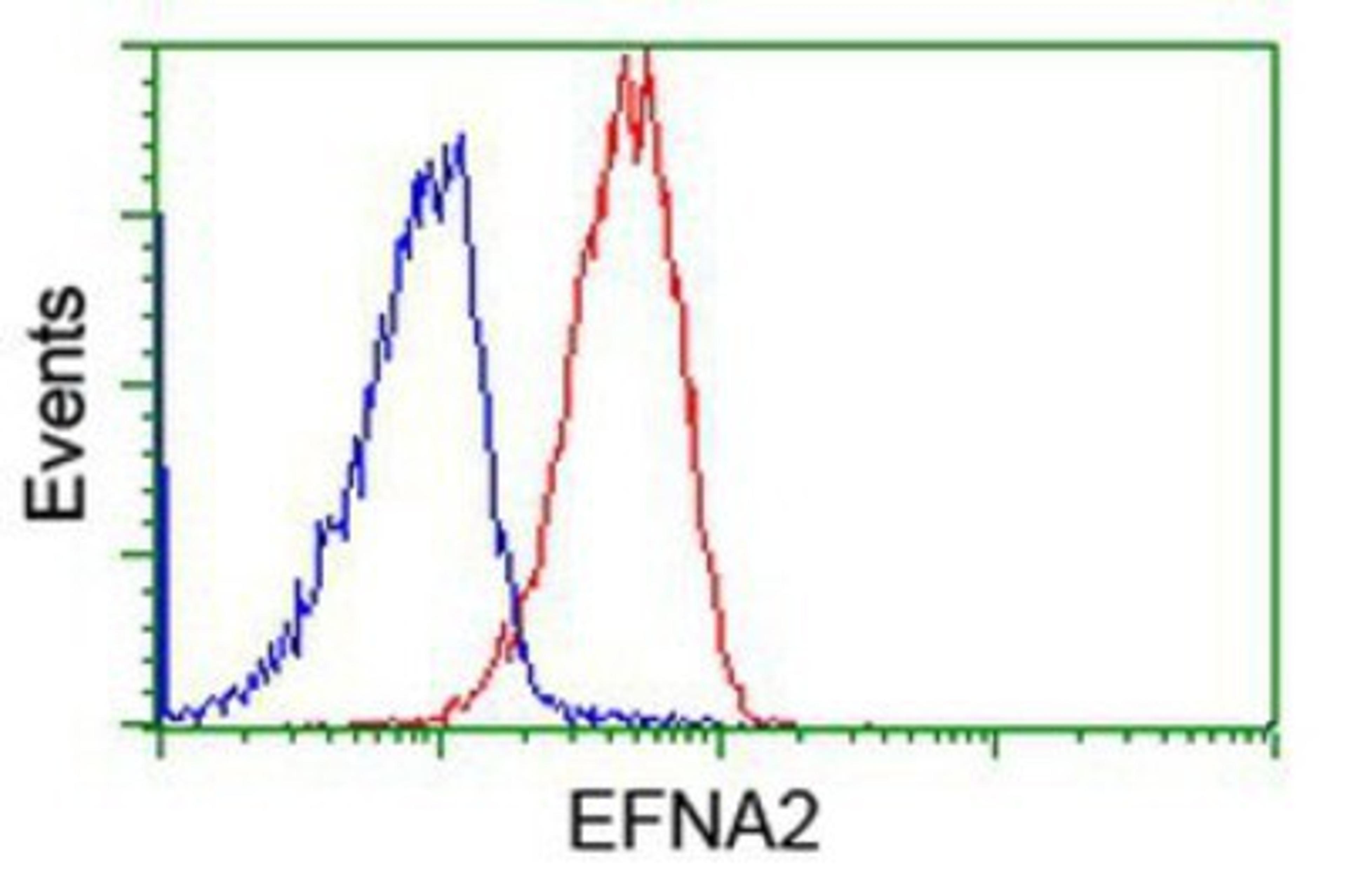 Flow Cytometry: Ephrin A2 Antibody (3E3) [NBP2-02810] - Analysis of Jurkat cells, using anti-Ephrin A2 antibody, (Red), compared to a nonspecific negative control antibody (Blue).