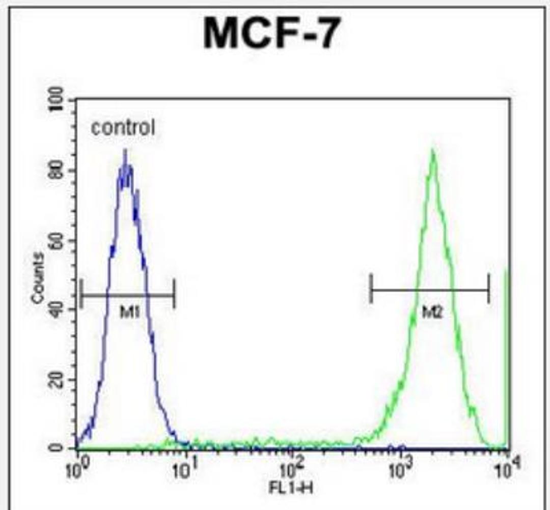 Flow Cytometry: PCDH20 Antibody [NBP2-30010] - Flow cytometric analysis of MCF-7 cells (right histogram) compared to a negative control cell (left histogram).FITC-conjugated goat-anti-rabbit secondary antibodies were used for the analysis.