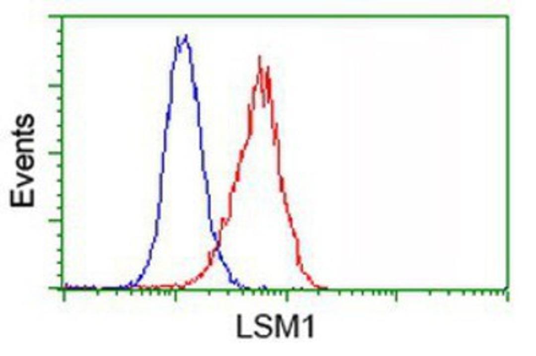 Flow Cytometry: LSM1 Antibody (5C6) [NBP2-00918] - Analysis of Hela cells, using anti-LSM1 antibody, (Red), compared to a nonspecific negative control antibody (Blue).