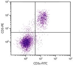 C57BL/6 mouse splenocytes were stained with Rat Anti-Mouse CD5-PE (Cat. No. 98-605) and Rat Anti-Mouse CD3?-FITC .