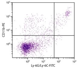 BALB/c mouse splenocytes were stained with Rat Anti-Mouse CD11b-PE (Cat. No. 98-635) and Rat Anti-Mouse Ly-6G/Ly-6C-FITC .