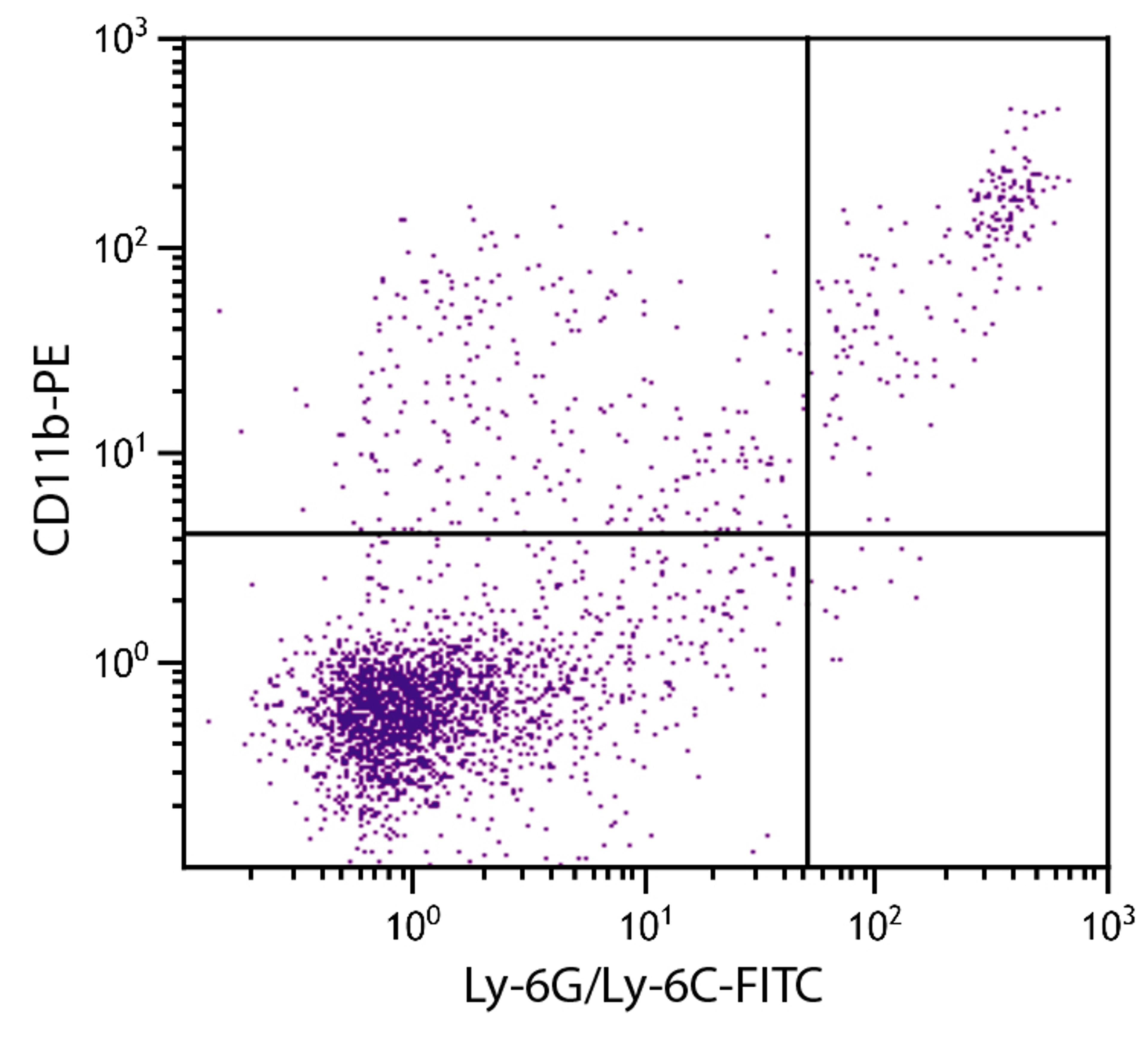 BALB/c mouse splenocytes were stained with Rat Anti-Mouse CD11b-PE (Cat. No. 98-635) and Rat Anti-Mouse Ly-6G/Ly-6C-FITC .