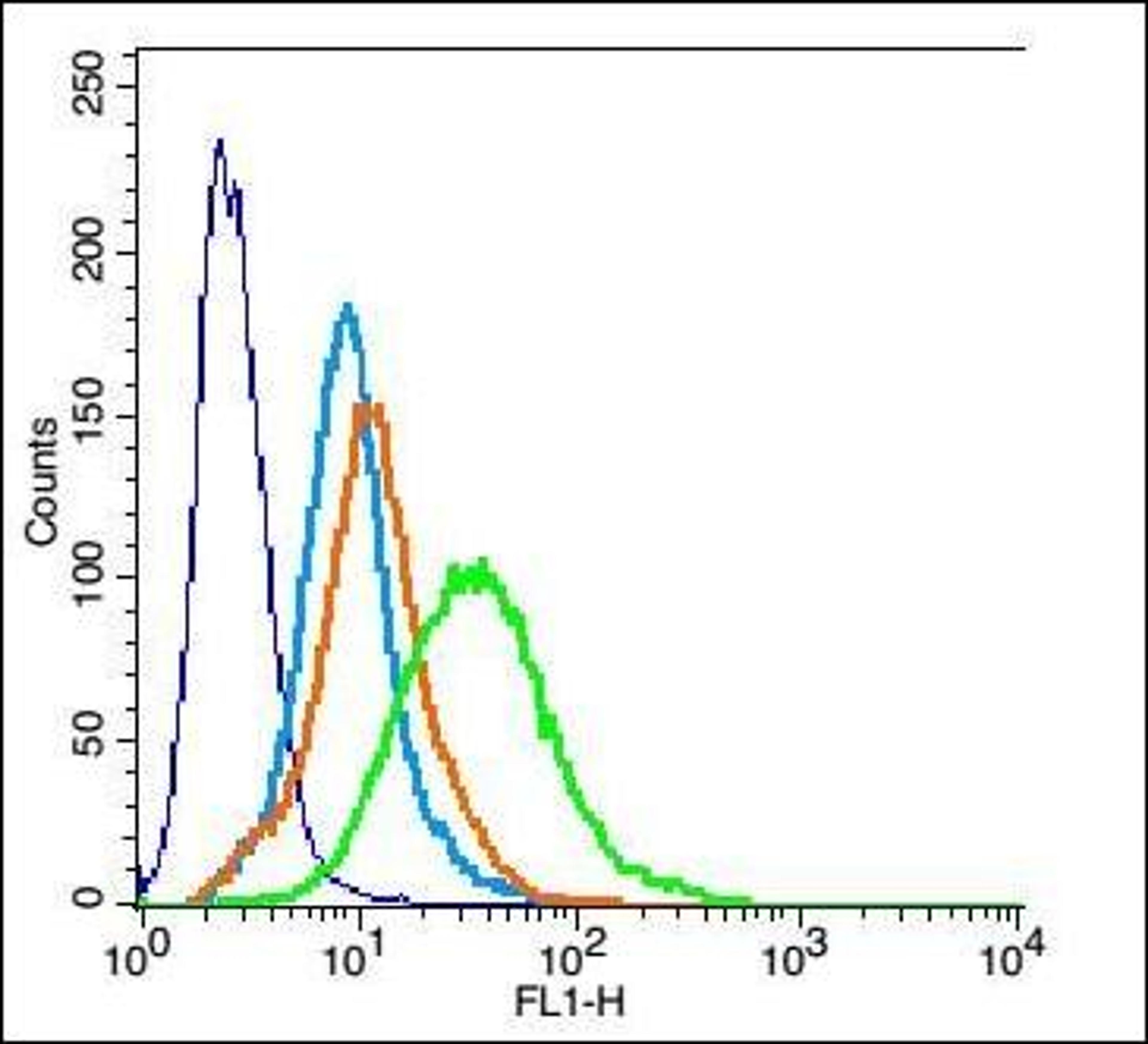 Flow cytometric analysis of H9C2 cell using DR6 antibody.