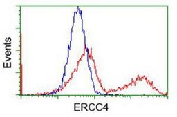 Flow Cytometry: XPF Antibody (4E11) [NBP2-01020] - HEK293T cells transfected with either overexpression plasmid (Red) or empty vector control plasmid (Blue) were immunostained by anti-XPF antibody, and then analyzed by flow cytometry.