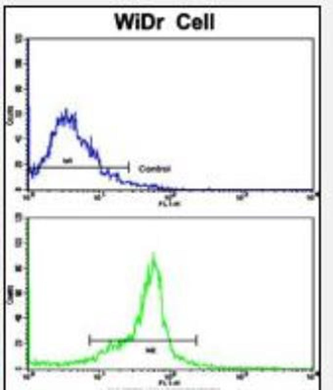 Flow Cytometry: PRL-2/PTP4A2 Antibody [NBP2-30075] - Widr cells using PTP4A2 Antibody (Center)(bottom histogram) compared to a negative control cell (top histogram). FITC-conjugated goat-anti-rabbit secondary antibodies were used for the analysis.