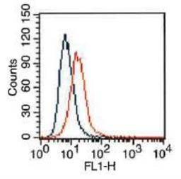 Flow Cytometry: VEGF R2/KDR/Flk-1 Antibody (1B6) [NBP2-36428] - VEGF Receptor 2 Antibody (1B6) [NBP2-36428] - HepG2 cells were stained (surface) with VEGF R2/KDR/Flk-1 antibody (clone: 2B5.1B6; orange) or isotype control (mouse IgG1; blue) and positive staining observed using FITC conjugated mouse anti-IgG(H+L) secondary antibody. Live cells (PPI negative) were gated for analysis