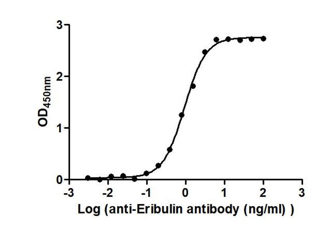 The Binding Activity of Farletuzumab ecteribulin (Synonyms: MORAb-202) with Anti-Eribulin  antibody. Activity: Measured by its binding ability in a functional ELISA. Immobilized Farletuzumab ecteribulin (Synonyms: MORAb-202) at 2 μg/mL can bind Anti-Eribulin antibody, the EC<sub>50</sub> is 0.8548 to 1.015 ng/mL.
