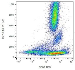 Flow cytometric analysis of human peripheral blood cells using CD82 antibody