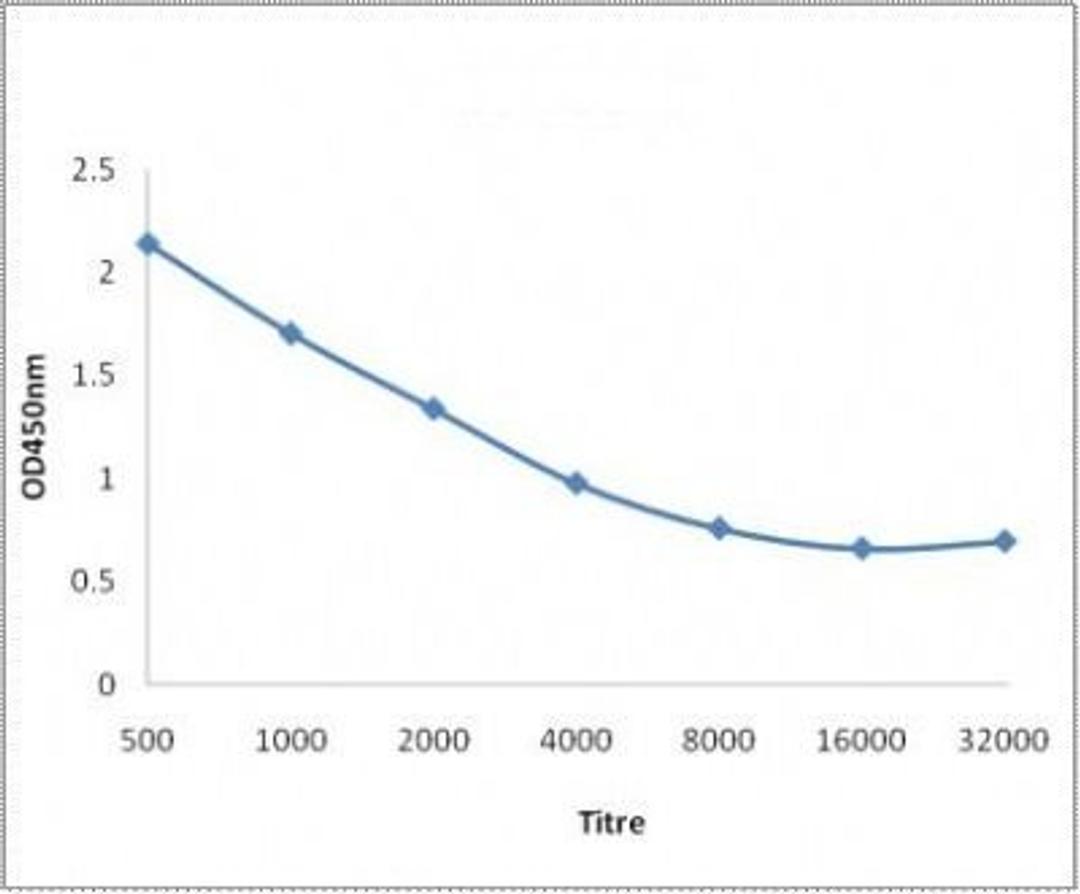 Line graph illustrates about the Ag-Ab reactions using different concentrations of antigen and serial dilutions of TRIB3 antibody