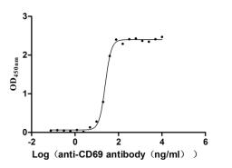 The Binding Activity of Human CD69 with Anti-CD69 Recombinant Antibody. Activity: Measured by its binding ability in a functional ELISA. Immobilized Human CD69 (CSB-MP004952HU) at 2 μg/mL can bind Anti-CD69 recombinant antibody , the EC<sub>50</sub> is 23.17-26.04 ng/mL.