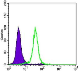 Flow Cytometry: E-Cadherin Antibody (7H12) [NBP2-19051] - Flow cytometric analysis of Hela cells using E-Cadherin mouse mAb (green) and negative control (purple).