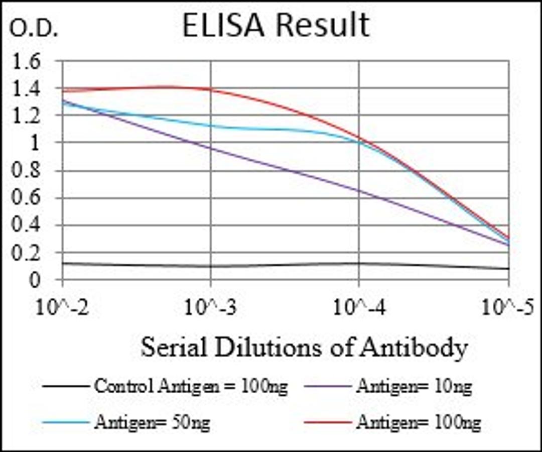 Line graph illustrates about the Ag-Ab reactions using different concentrations of antigen and serial dilutions of ZEB1 antibody