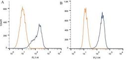 Flow Cytometry: AIP/ARA9 Antibody (35-2) [NB100-127] - Intracellular flow cytometric staining of 1 x 10^6 CHO (A) and MCF-7 (B) cells using AIP/ARA9 antibody (dark blue). Isotype control shown in orange. An antibody concentration of 1 ug/1x10^6 cells was used.