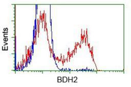 Flow Cytometry: BDH2 Antibody (2G1) [NBP2-02651] - HEK293T cells transfected with either overexpression plasmid (Red) or empty vector control plasmid (Blue) were immunostained by anti-BDH2 antibody, and then analyzed by flow cytometry.