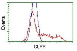 Flow Cytometry: CLPP Antibody (1F6) [NBP2-03323] - HEK293T cells transfected with either overexpression plasmid (Red) or empty vector control plasmid (Blue) were immunostained by anti-CLPP antibody, and then analyzed by flow cytometry.